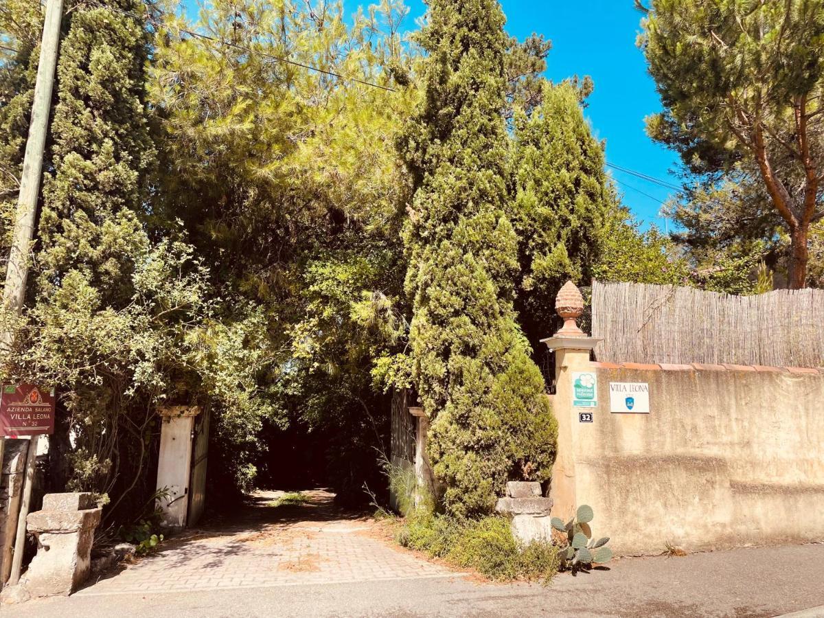 Villa Leona Clim Park Bollene Exterior photo